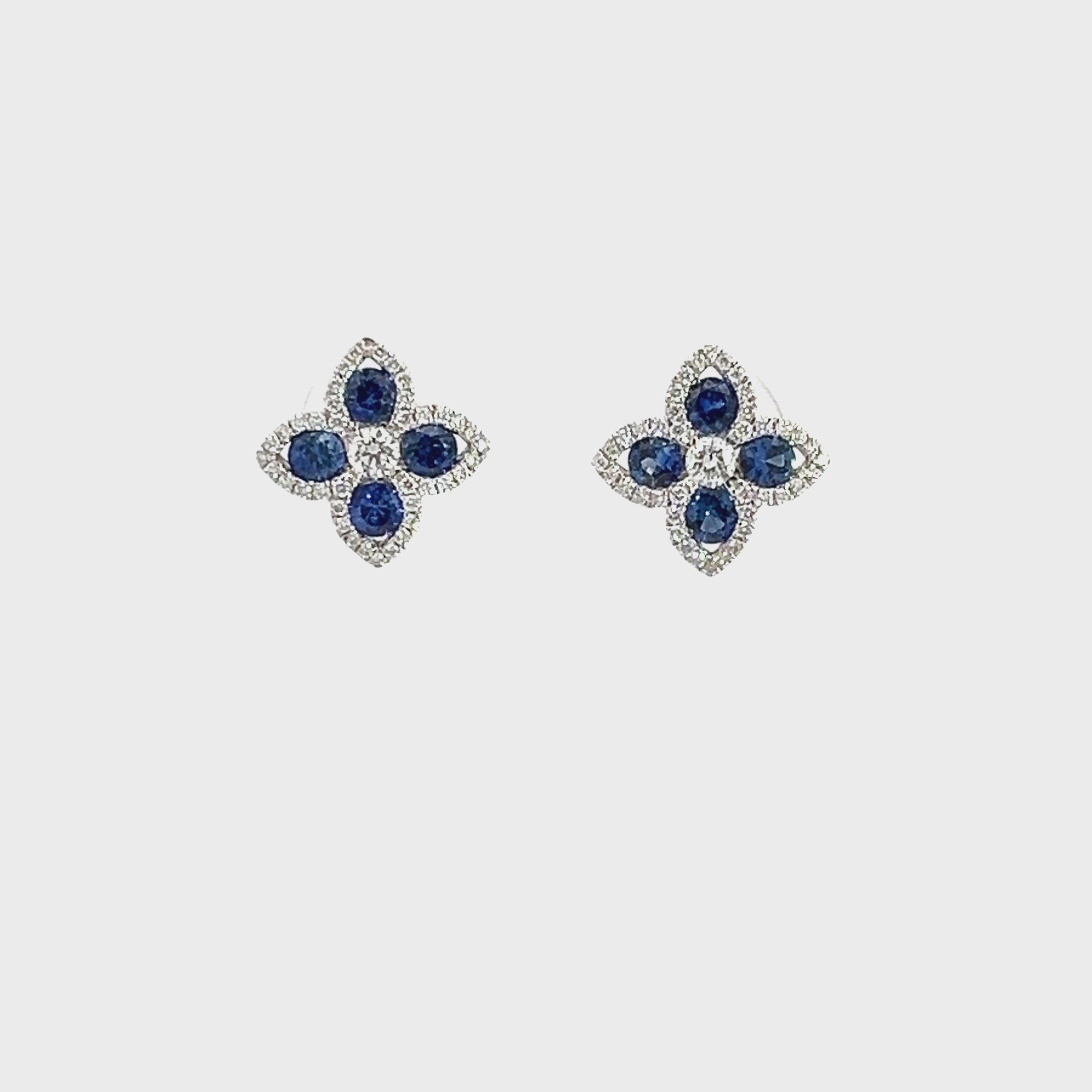 Exquisite Blue Sapphire Earrings