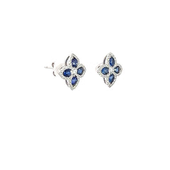 Exquisite Blue Sapphire Earrings