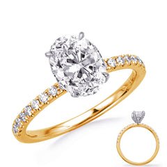 White & Yellow  Gold Engagement Ring