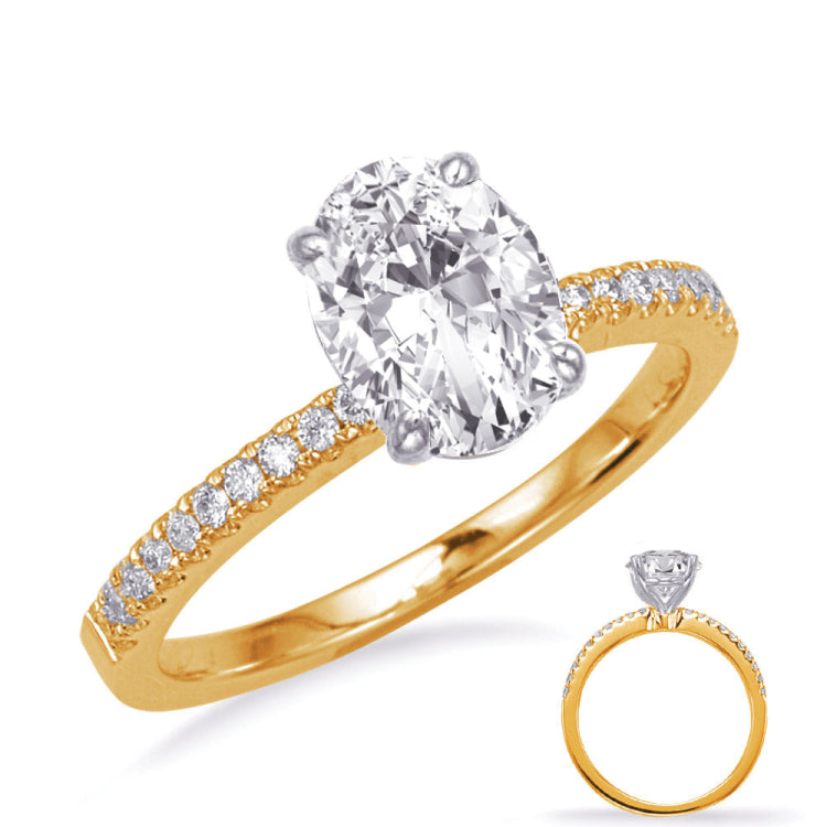 14 KT Rounds Shape Yellow & White Gold Engagement Ring